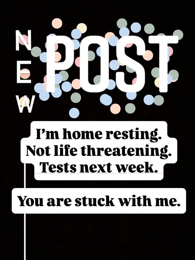 TheKatMorgan -NEW ACCOUNT tweet media