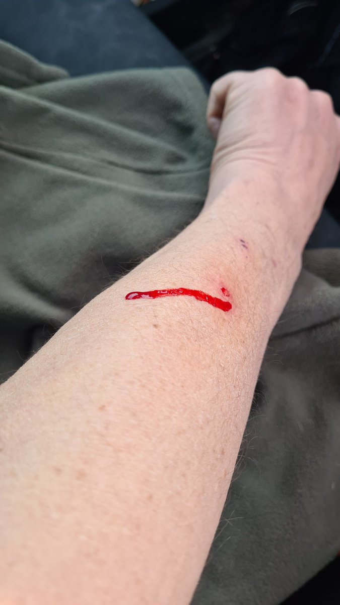 Dogknob1 tweet media