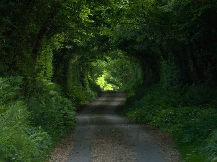 purepeaceful's tweet photo. portals in nature https://t.co/FweNCeuDFy