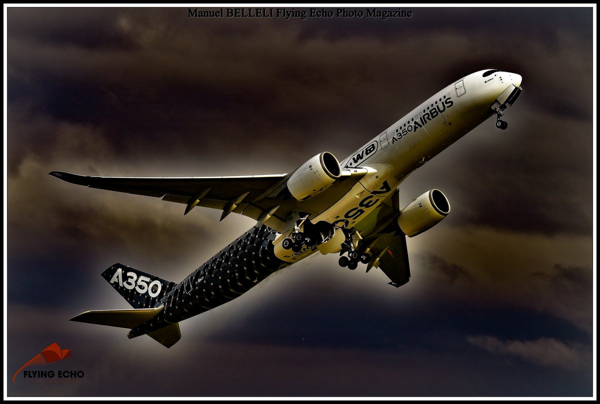 M BELLELI tweet media