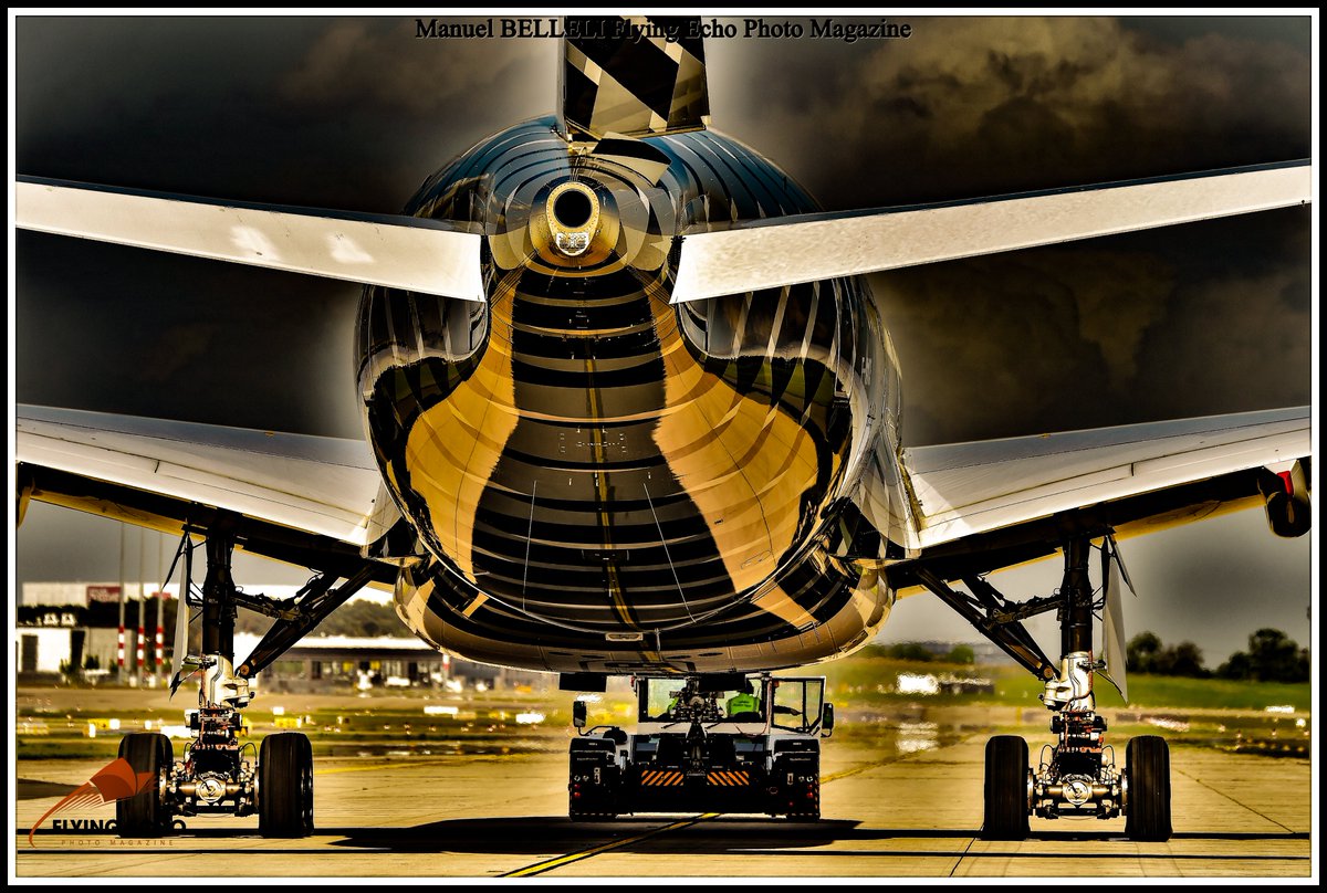 M BELLELI tweet media