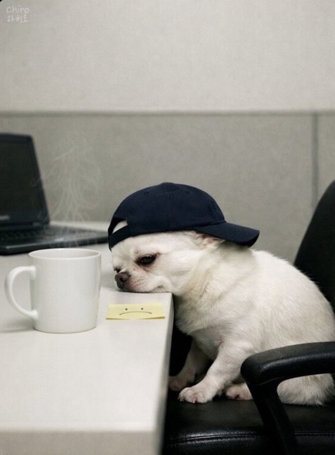 Davis TK 24 tweet media