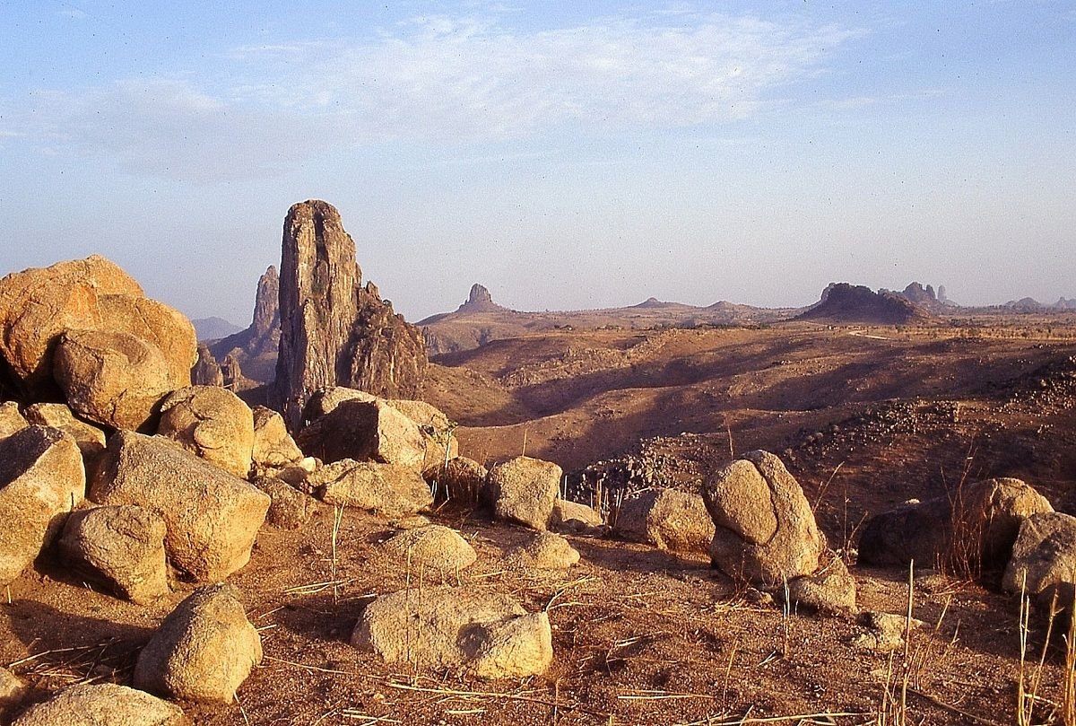 Extracts tweet media