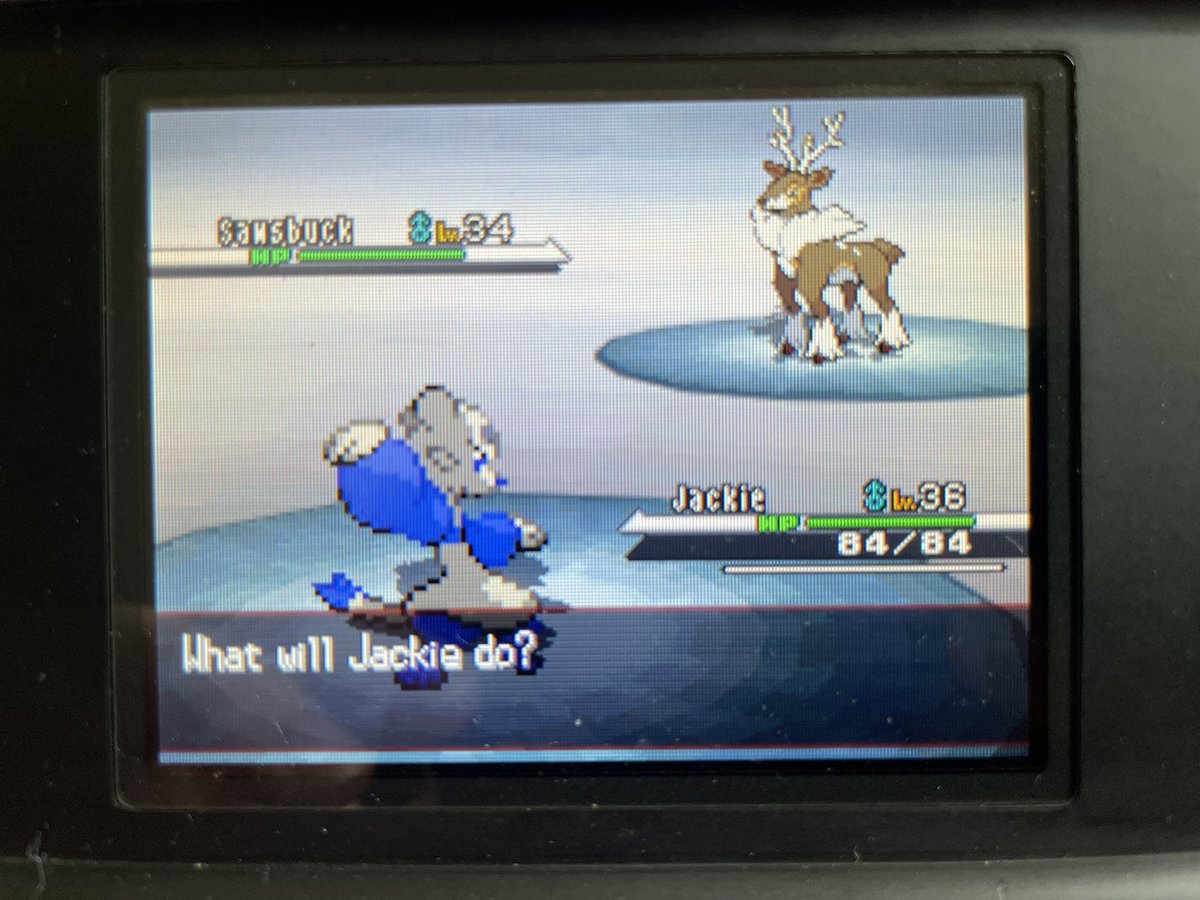 Shiny383's tweet photo. Phase 4 ends with a Shiny Mienfoo after 20101 REs!! ✨✨✨ 
Phase 1: Sawsbuck 7446
Phase 2: Vanillish 701
Phase 3: Beartic 9987
Phase 4: Mienfoo 20101
Total Encounters: 38235
Went a little over odds on average BUT WE STILL TAKE THOSEE YEEAAAHHH BABYYYY https://t.co/a6nNe0p733