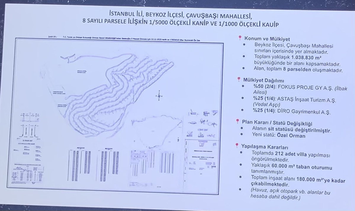 Barış Cenk AKKAYA tweet media