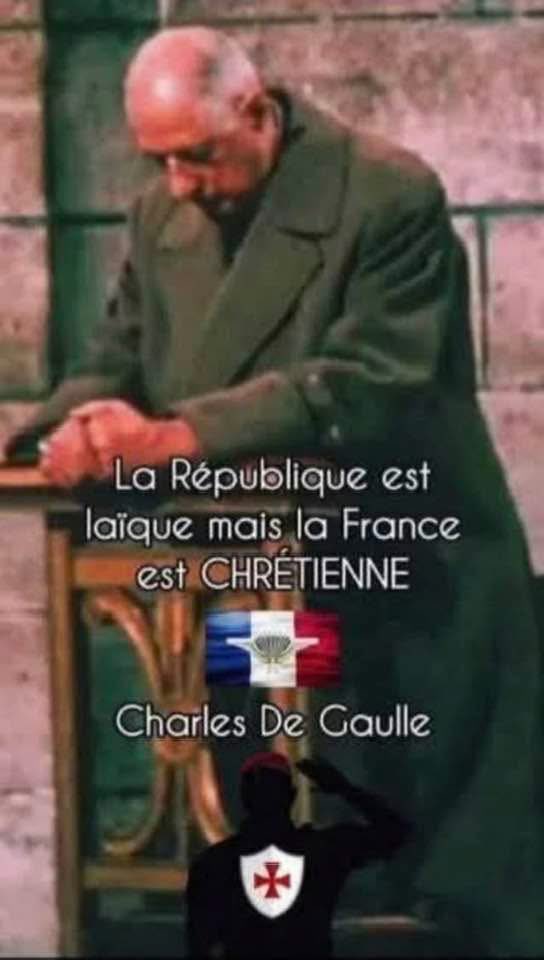 LolitA🌸🦋 tweet media