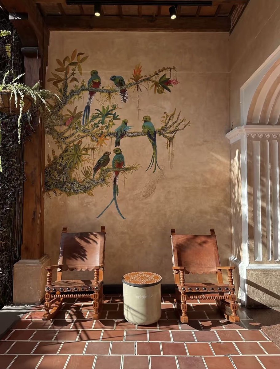 Frikitona 🇸🇻🇲🇽🏳️‍🌈 tweet media