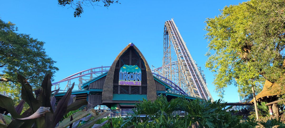 Jake Coasters tweet media