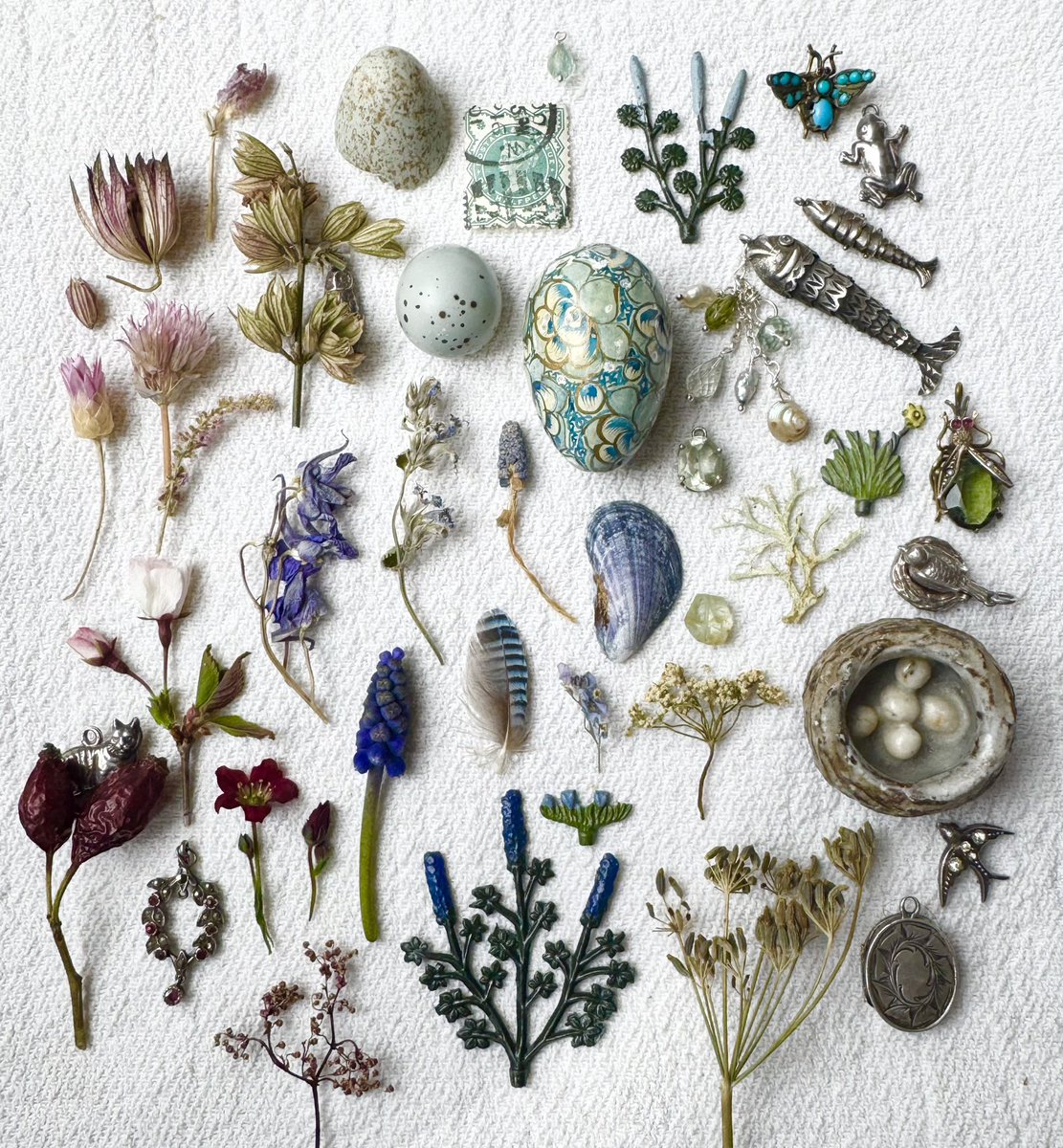 Emma Mitchell 💙 tweet media