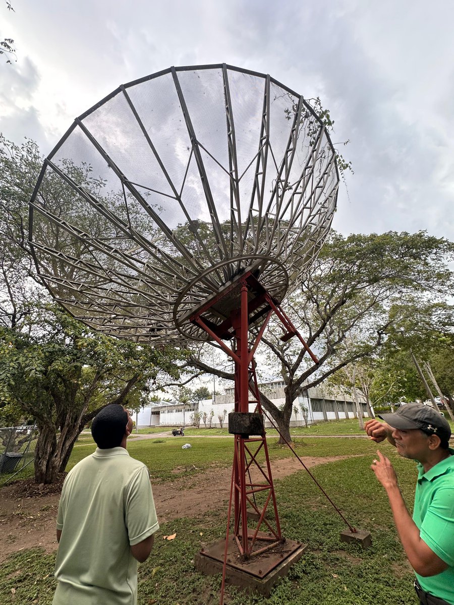 Yoel Samuel Castillo Castillo tweet media