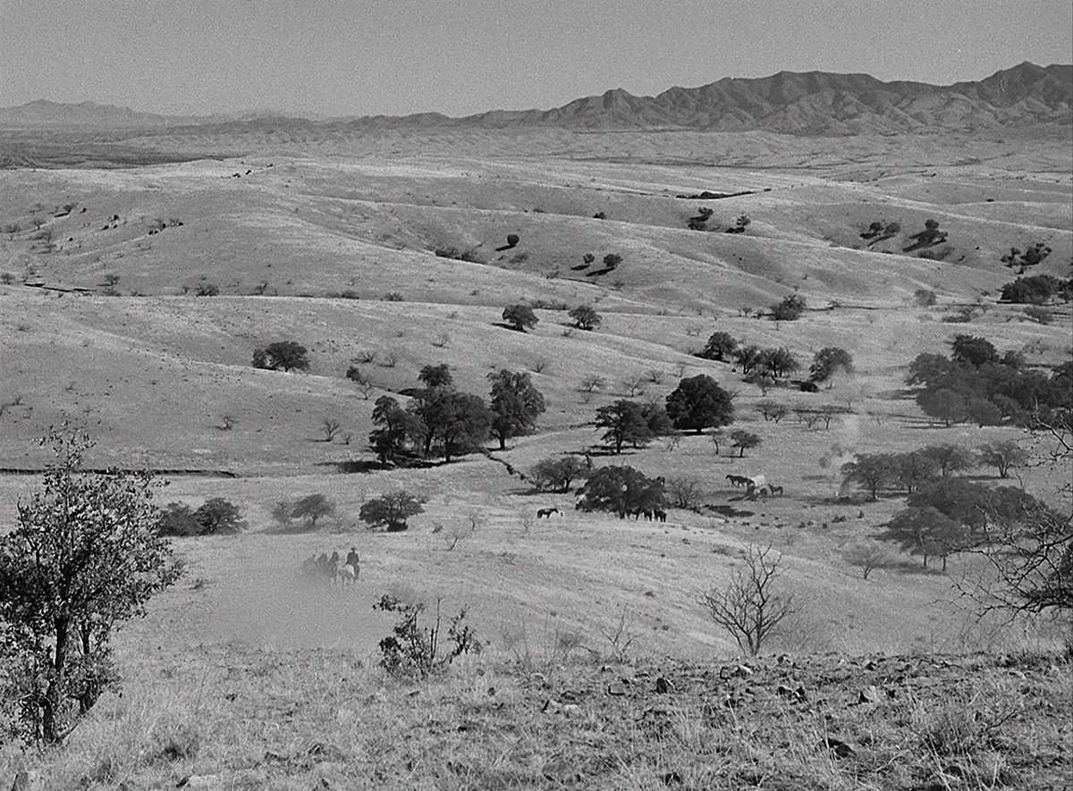 Carlos Cano tweet media