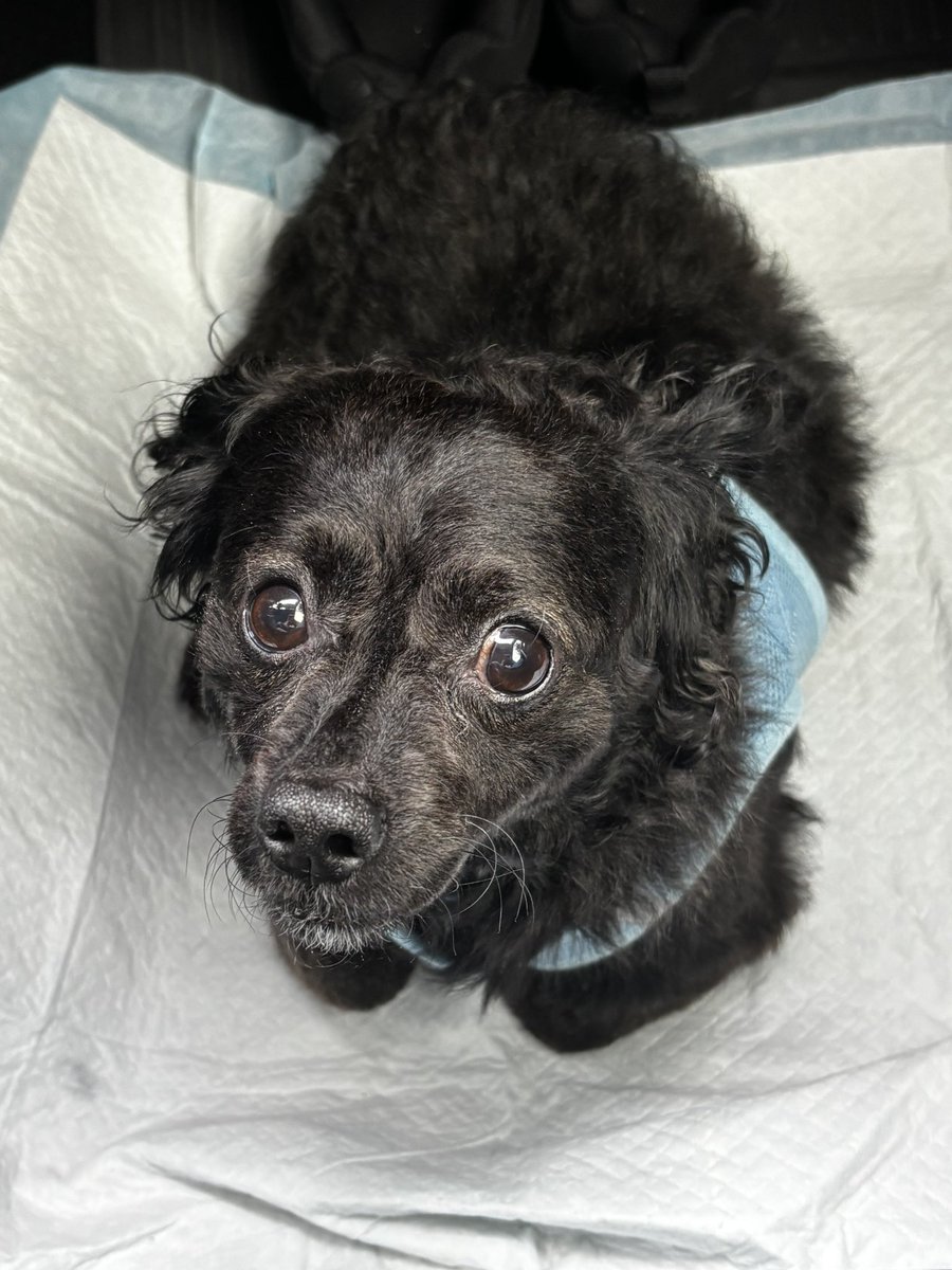 KEO🍦genderbent au tweet media