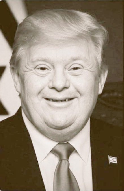 Seth Rogaine tweet media