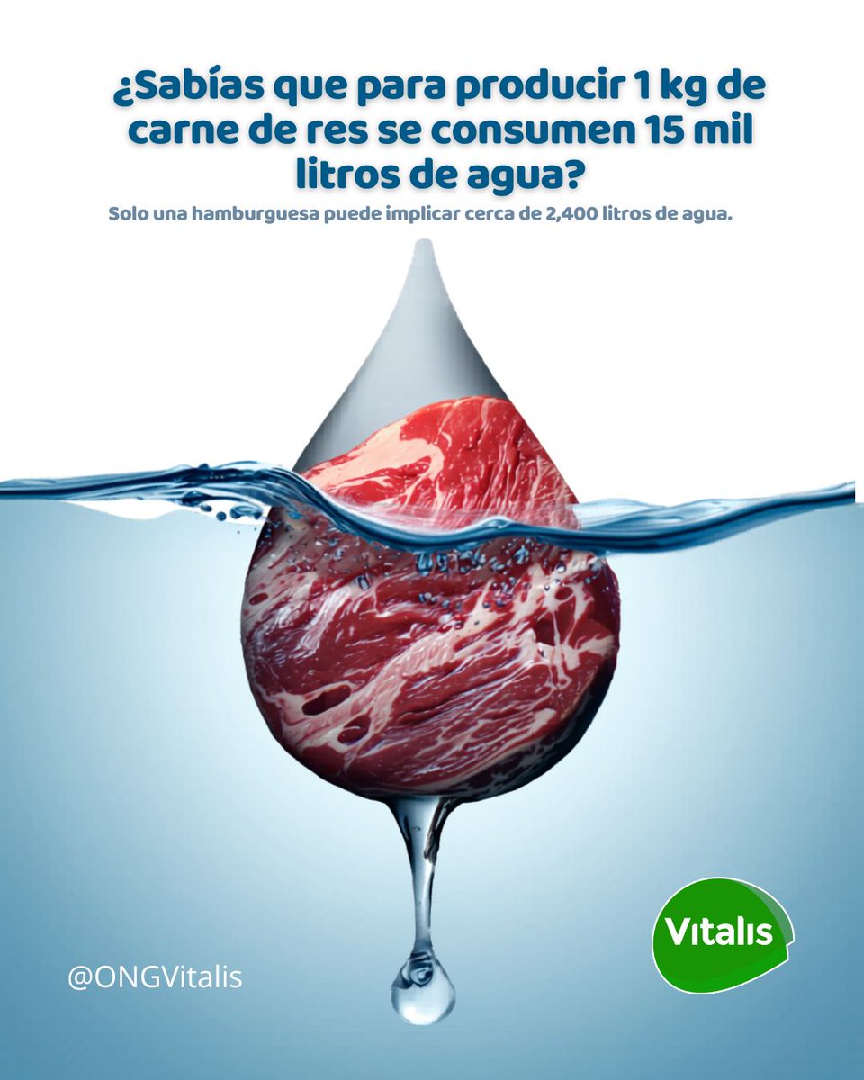 Vitalis - ONGVitalis tweet media