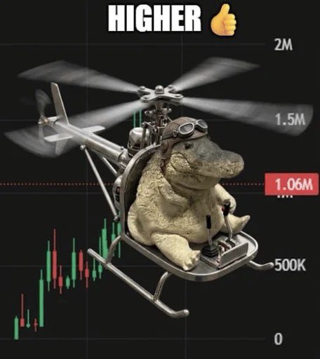 dxrnelljcl tweet media