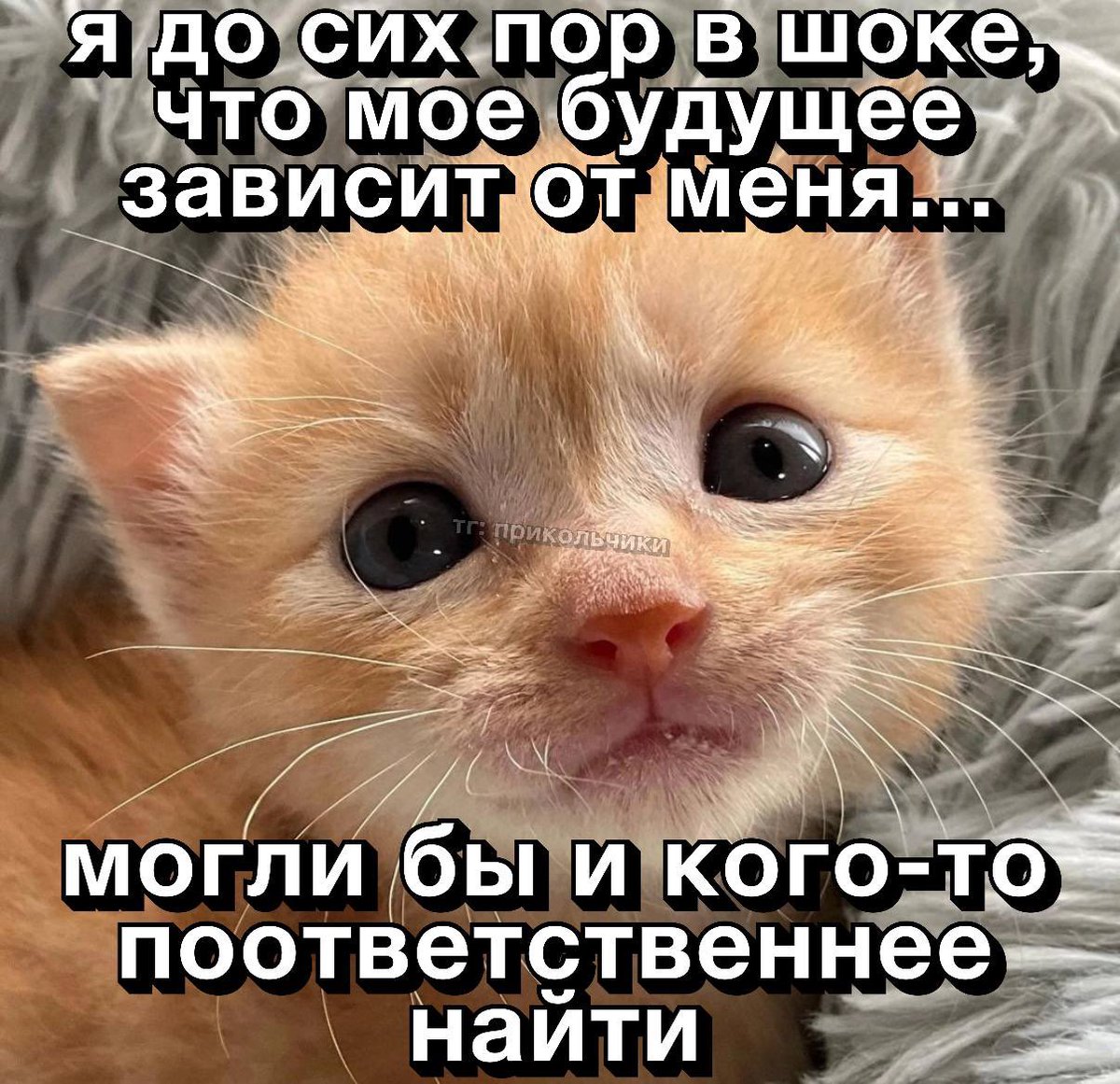 воробушек-социофобушек tweet media
