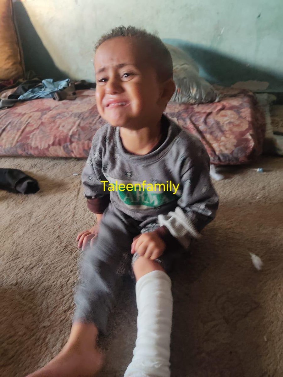 Taleen Family 🍉 tweet media