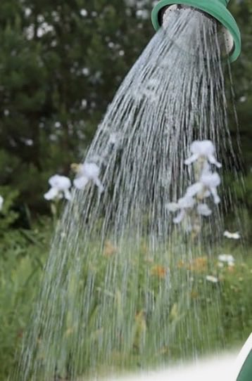 Ben Close tweet media