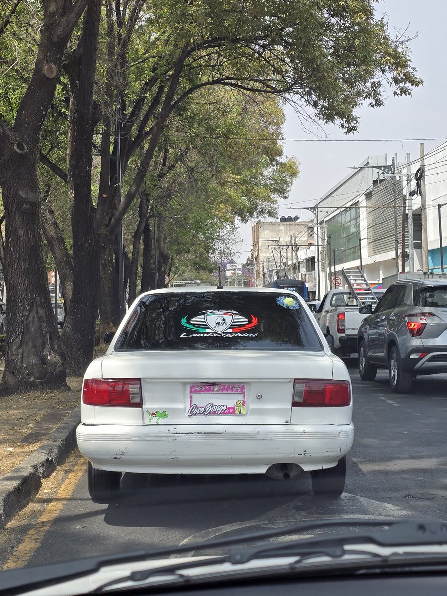 Peatón del sur tweet media