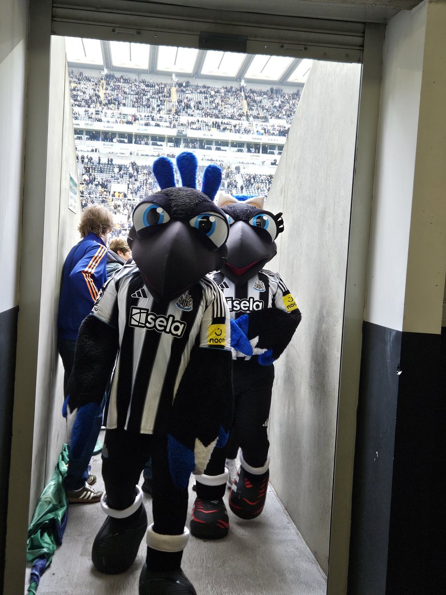 Regista10_'s tweet photo. 🚨 Big Update: Every single fucker contracted to Newcastle Utd is leaving in the summer. Monty the Magpie in talks to leave partner Maggie behind as Man City step up their chase. 

👇 More to follow 👇 #nufc https://t.co/BzXPgwv4On