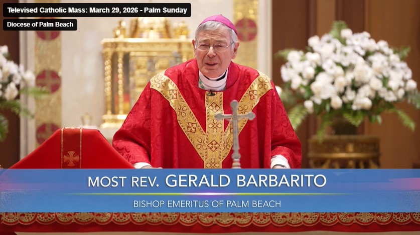 Diocese of Palm Beach tweet media