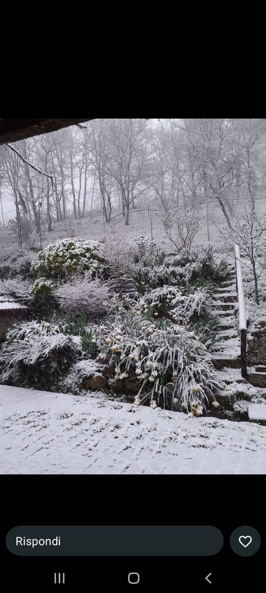 Պario  Պoroni tweet media