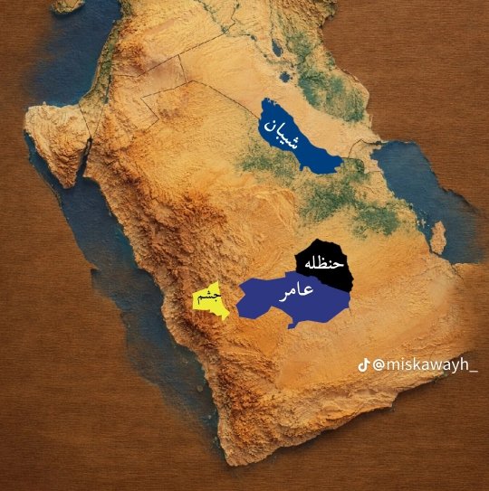 الشثري العامري🥷 tweet media