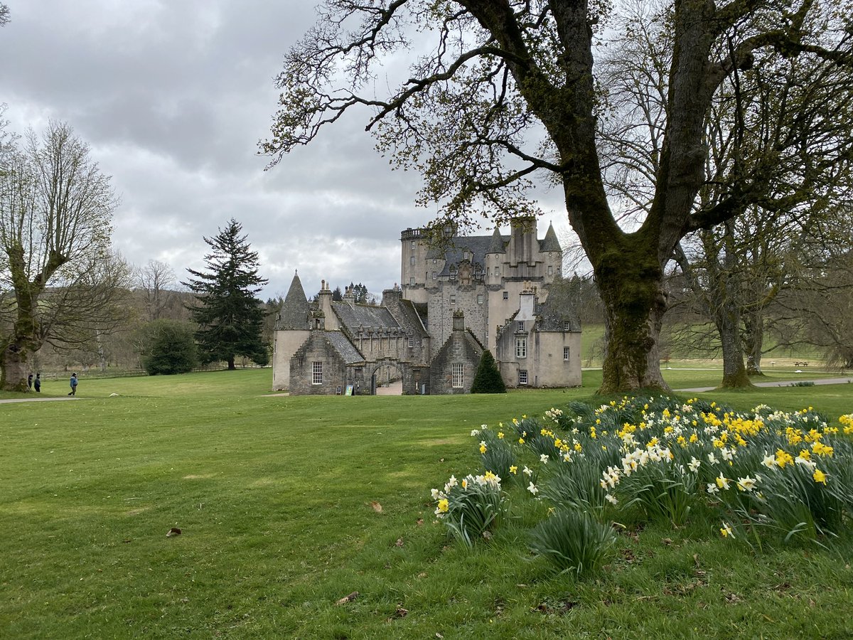 Ailish Sinclair tweet media