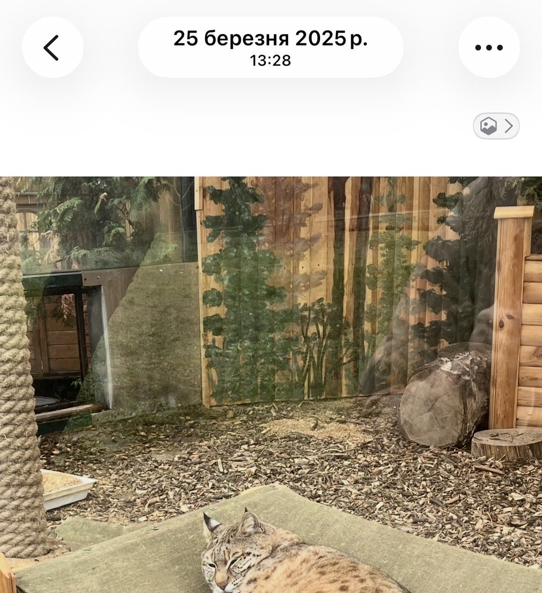 пані книгарка tweet media