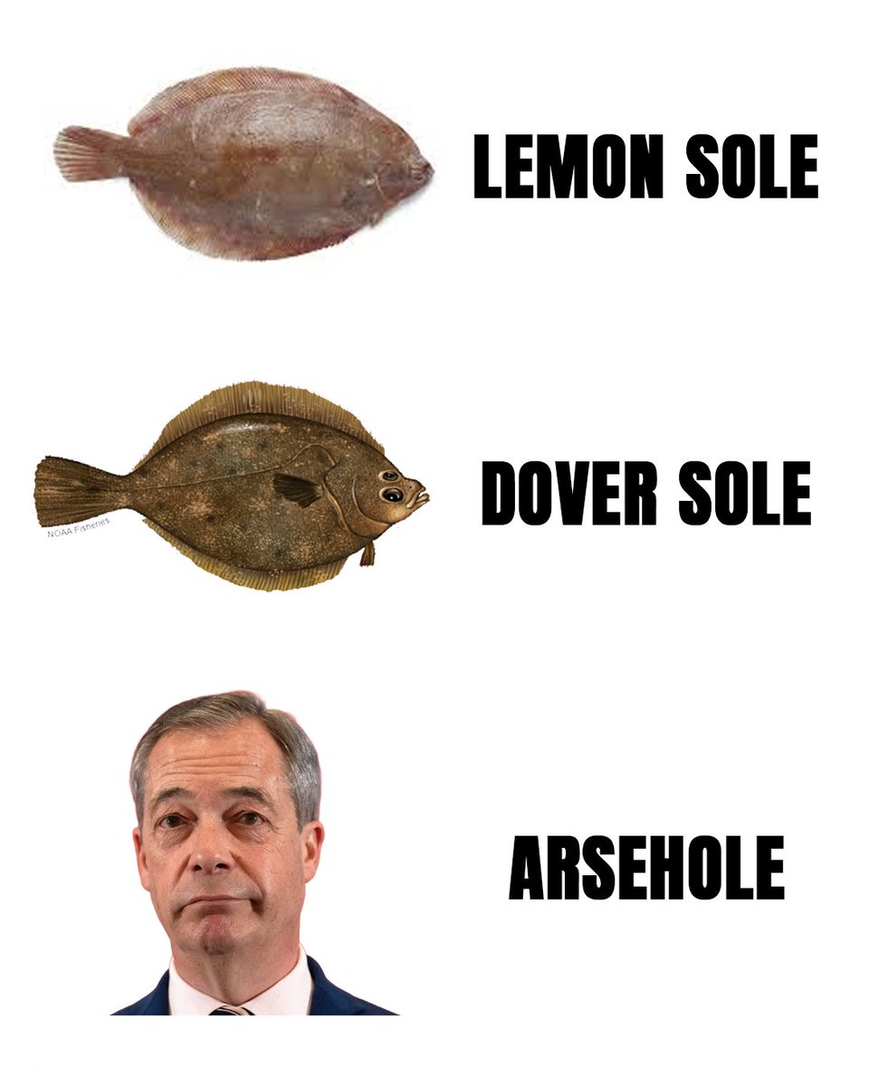 mariner🇬🇧🇪🇺#FBPE tweet media