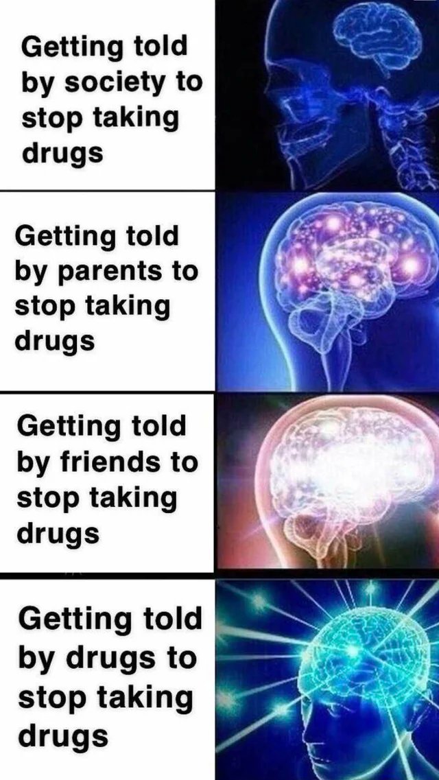 Guy BOOK IS LIVE! || CHECK BIO tweet media