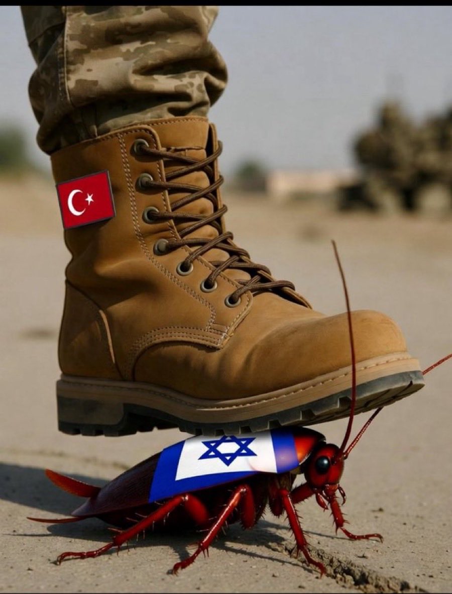 0LİVİA 🇹🇷🍉 tweet media