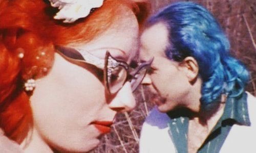 Movies from HELL tweet media