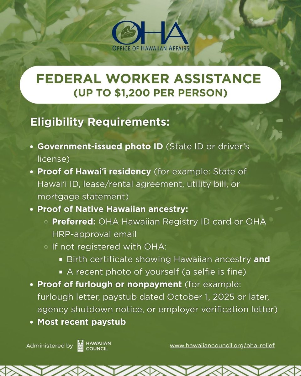 Project Vision Hawaii tweet media