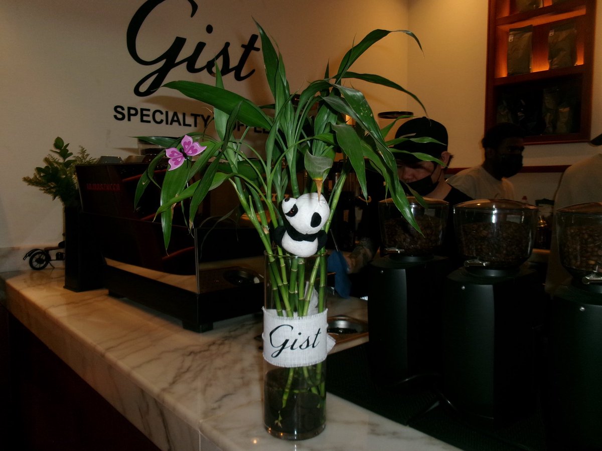 🌠🌠 tweet media