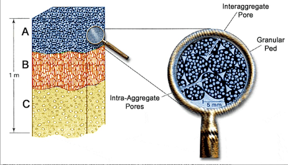 Canadian Society of Soil Science tweet media