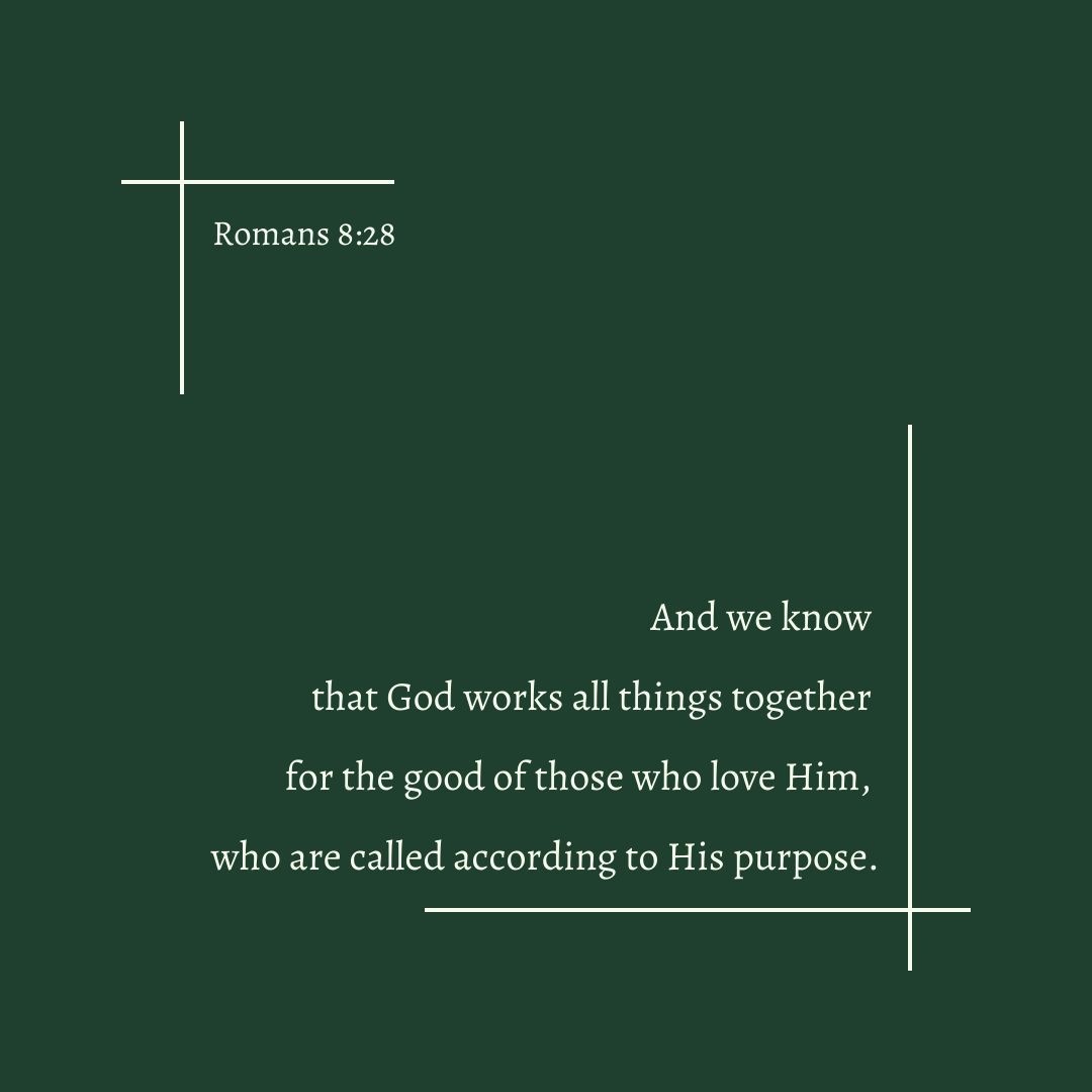 The Dwelling Word tweet media