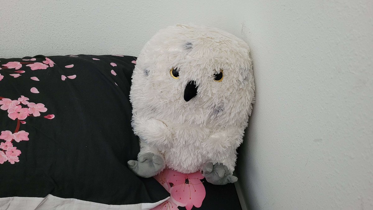 𝖡𝖺𝗒 Ⅿ14 tweet media