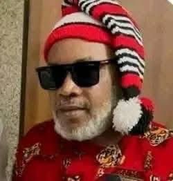 Bia Pulse tweet media