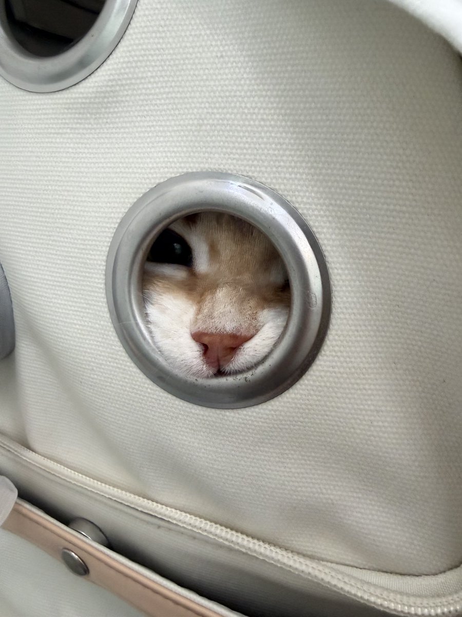 슬로푸 Slow_frog tweet media