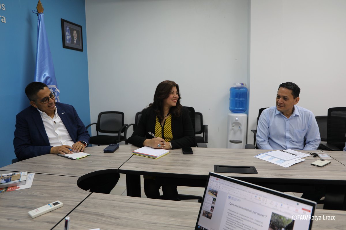 FAOHonduras's tweet image. 📍Tegucigalpa
¡Trabajamos por comunidades más resilientes en #Honduras!
Con el equipo de #Emergencias de #MejorVida, La representante Residente @FatimaEspinaFAO y AFAOR- Programas @SofiaMendezCas2 dialogaron con el Secretario de Estado de @copecogob, @ReinaldoHN. 

@hnpresidencia