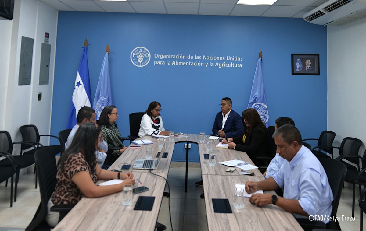 FAOHonduras's tweet image. 📍Tegucigalpa
¡Trabajamos por comunidades más resilientes en #Honduras!
Con el equipo de #Emergencias de #MejorVida, La representante Residente @FatimaEspinaFAO y AFAOR- Programas @SofiaMendezCas2 dialogaron con el Secretario de Estado de @copecogob, @ReinaldoHN. 

@hnpresidencia