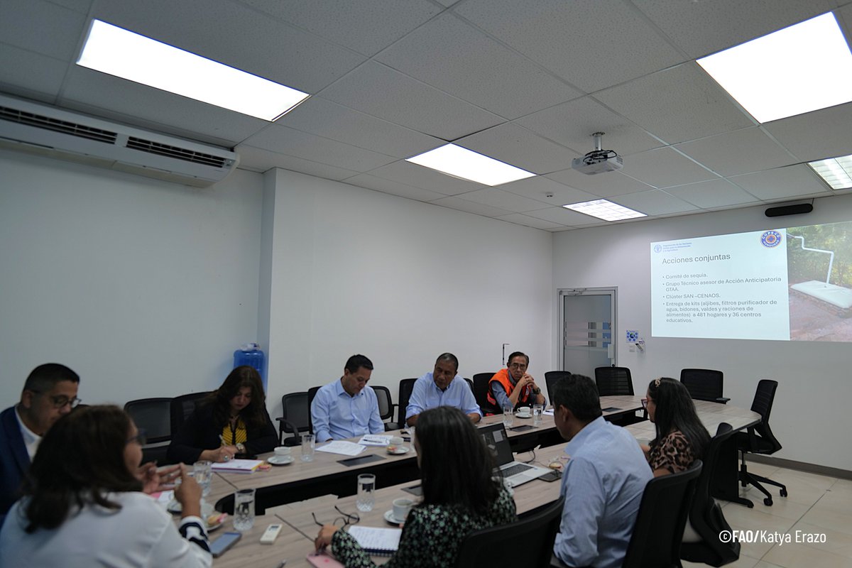 FAOHonduras's tweet image. 📍Tegucigalpa
¡Trabajamos por comunidades más resilientes en #Honduras!
Con el equipo de #Emergencias de #MejorVida, La representante Residente @FatimaEspinaFAO y AFAOR- Programas @SofiaMendezCas2 dialogaron con el Secretario de Estado de @copecogob, @ReinaldoHN. 

@hnpresidencia