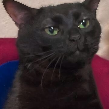 EXOlent ✨ With Chen tweet media