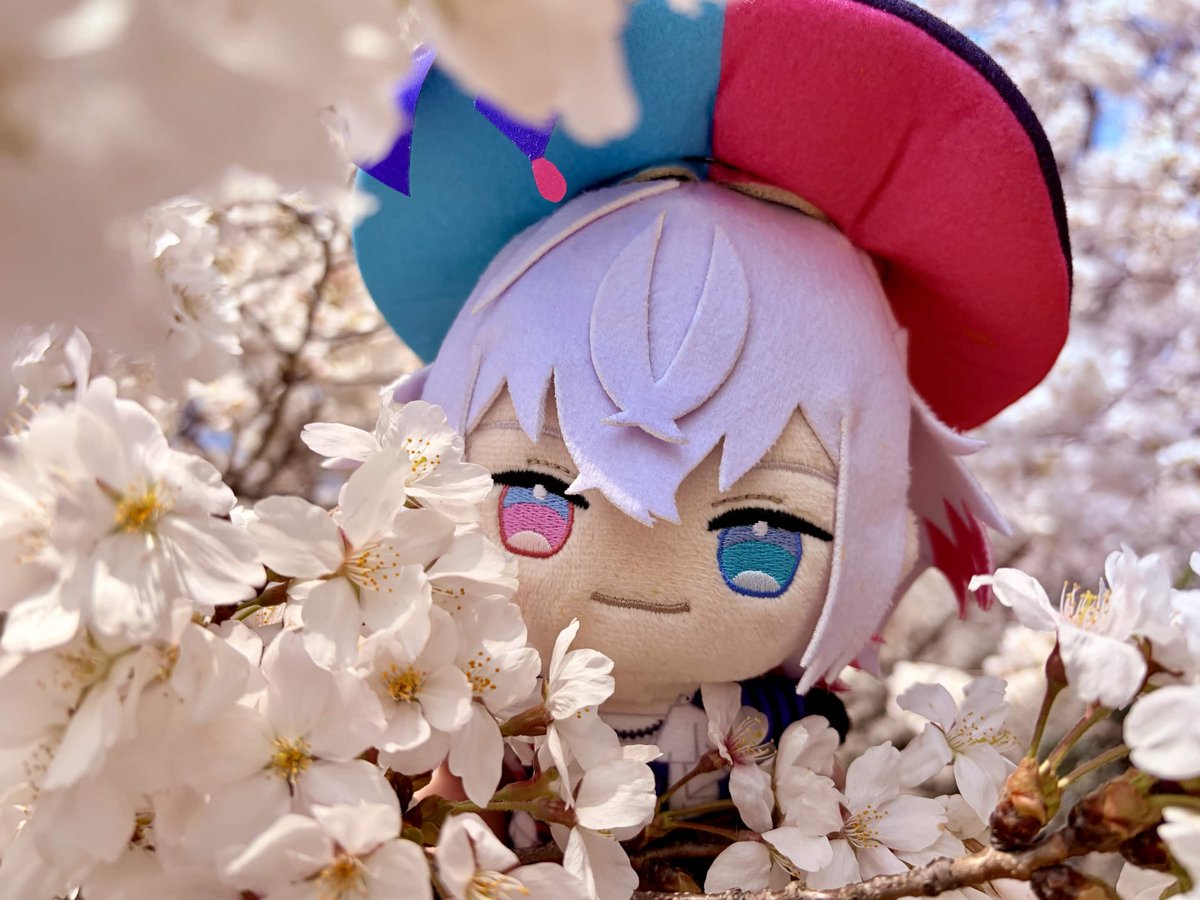 kismet nightingale 🎇⛓️🔅⭐ tweet media