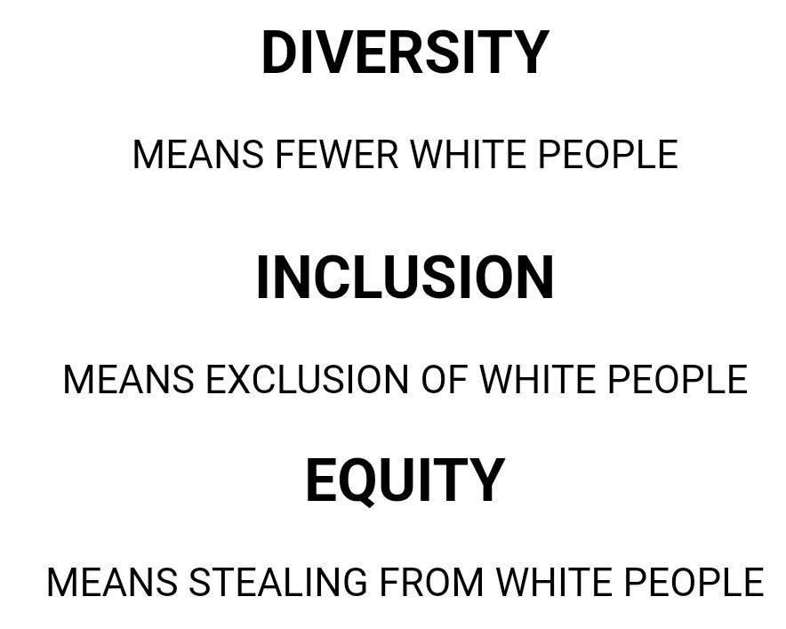 Libs Hate Us tweet media