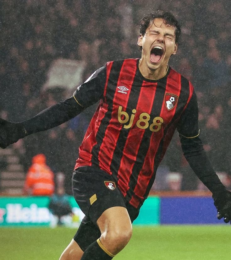 Osimhen Kol Kaybı tweet media