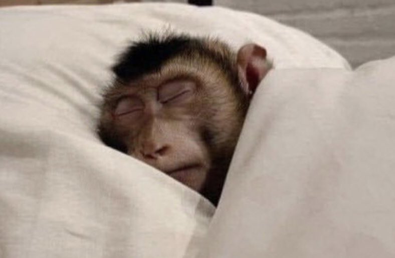 Hadassah’s mom tweet media