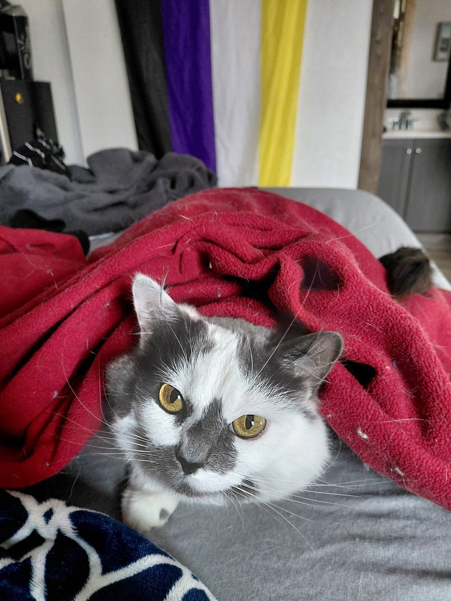 Skrungus and Daisy Incorporated (ft Smoky) tweet media