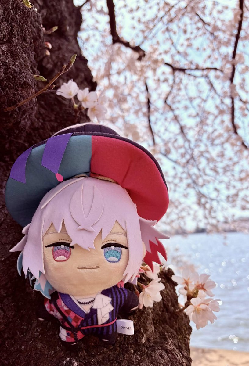 kismet nightingale 🎇⛓️🔅⭐ tweet media